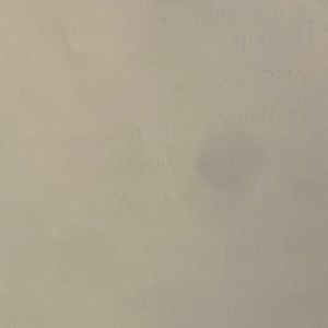 Meet your Posher, Merritt